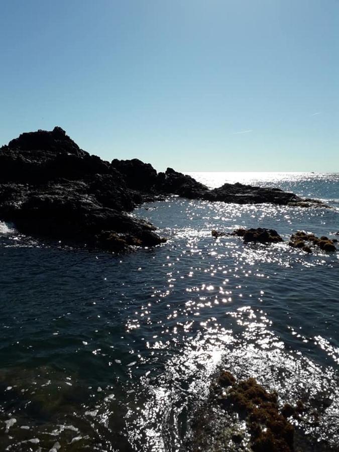 فيلا Lili Céret المظهر الخارجي الصورة
