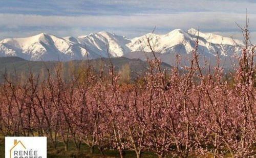 فيلا Lili Céret المظهر الخارجي الصورة